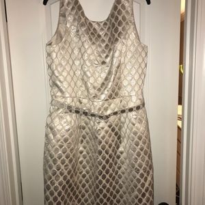 NWT White House Black Market Dress- Size 14